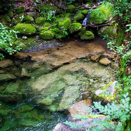 Mini Bell Luksusowy namiot Geres