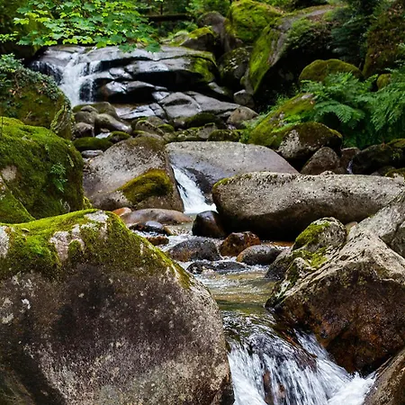 Οργανωμένο κάμπινγκ Mini Bell