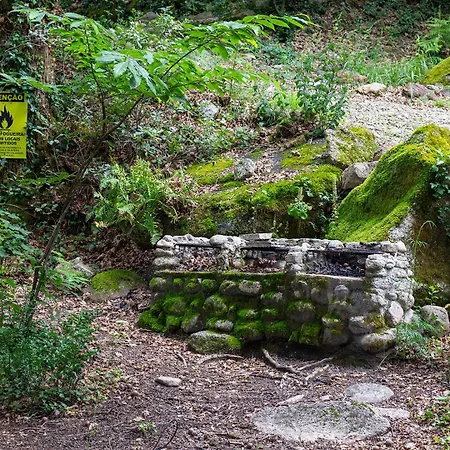 Luksusowy namiot Mini Bell *