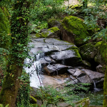 Mini Bell Luksusowy namiot