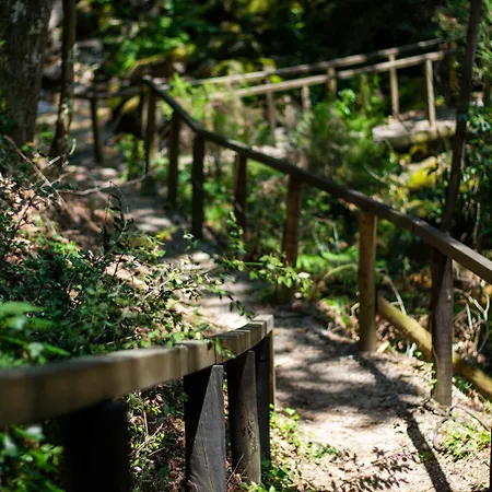 Luksusowy namiot Mini Bell Geres