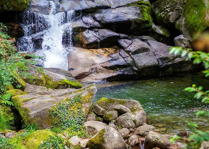 럭셔리텐트 Mini Bell