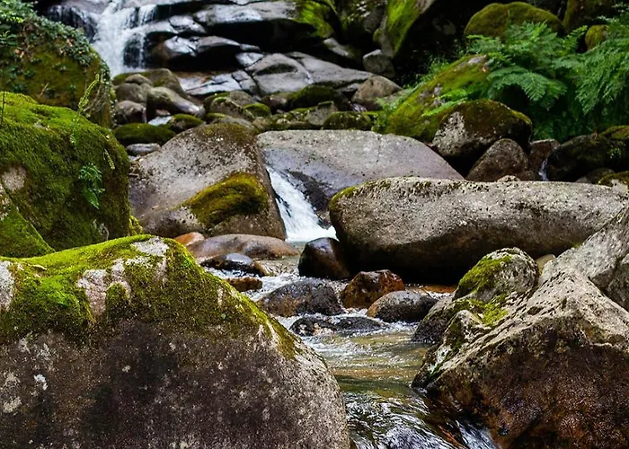 럭셔리텐트 Mini Bell