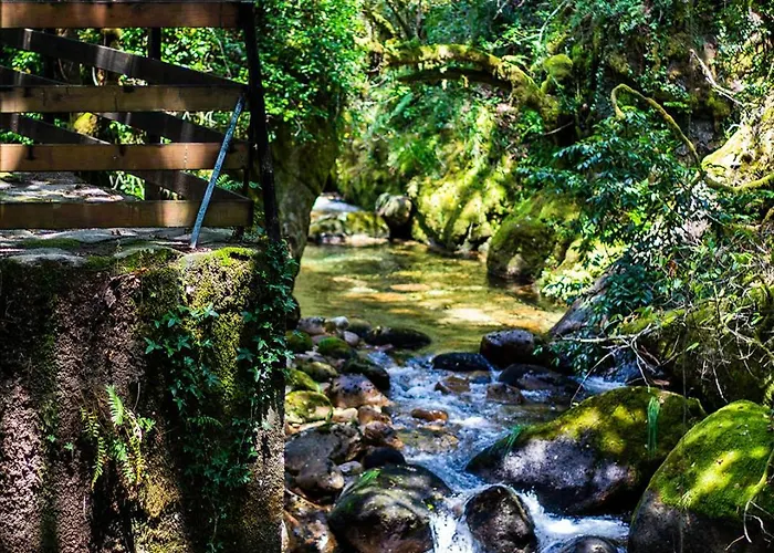 럭셔리텐트 Mini Bell 제어스