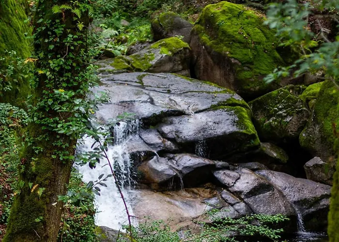 Mini Bell 럭셔리텐트