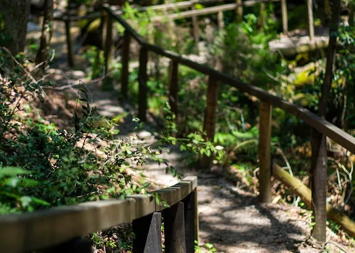 럭셔리텐트 Mini Bell 제어스